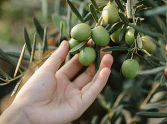 3 generazioni di coltivatori